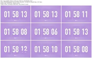 cams-ff_mur-11-23-2025-00-45-31