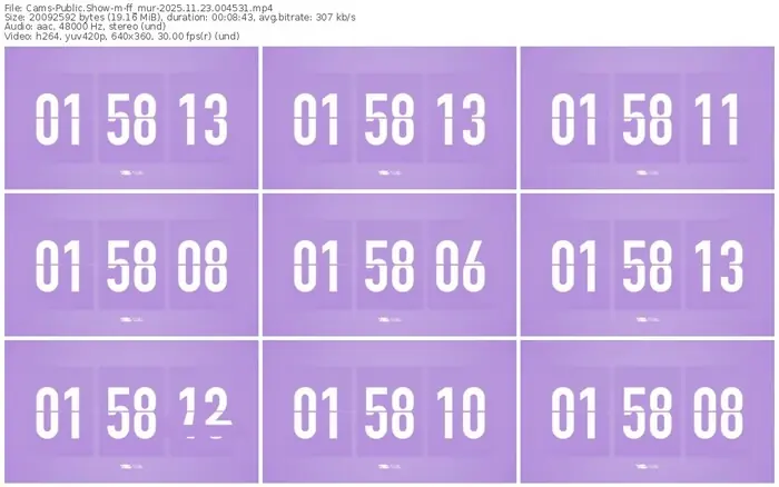 cams-ff_mur-11-23-2025-00-45-31