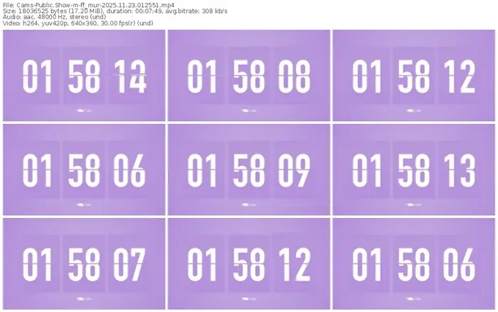 cams-ff_mur-11-23-2025-01-25-51