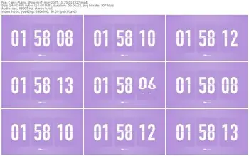 cams-ff_mur-11-23-2025-01-43-27