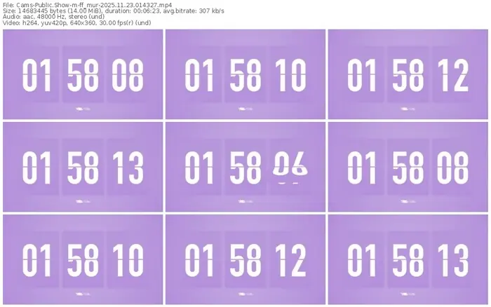 cams-ff_mur-11-23-2025-01-43-27