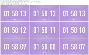 cams-ff_mur-11-23-2025-01-53-05