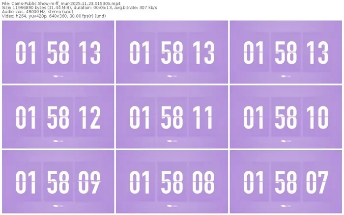 cams-ff_mur-11-23-2025-01-53-05