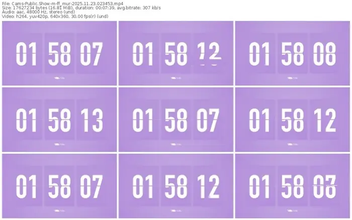 cams-ff_mur-11-23-2025-02-34-53