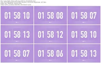 cams-ff_mur-11-23-2025-02-53-51