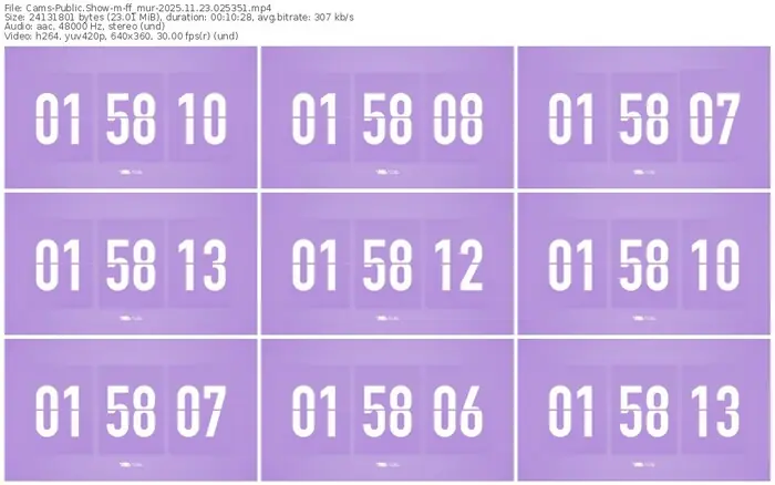 cams-ff_mur-11-23-2025-02-53-51