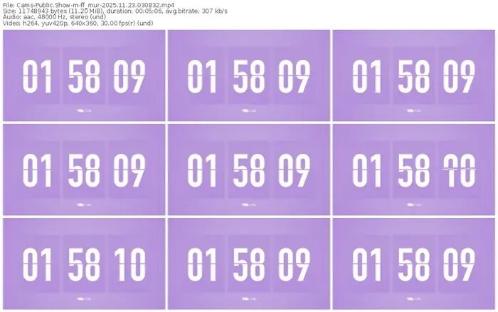 cams-ff_mur-11-23-2025-03-08-32