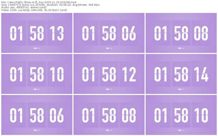 cams-ff_mur-11-23-2025-03-32-58