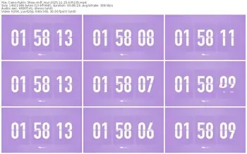 cams-ff_mur-11-23-2025-03-52-35