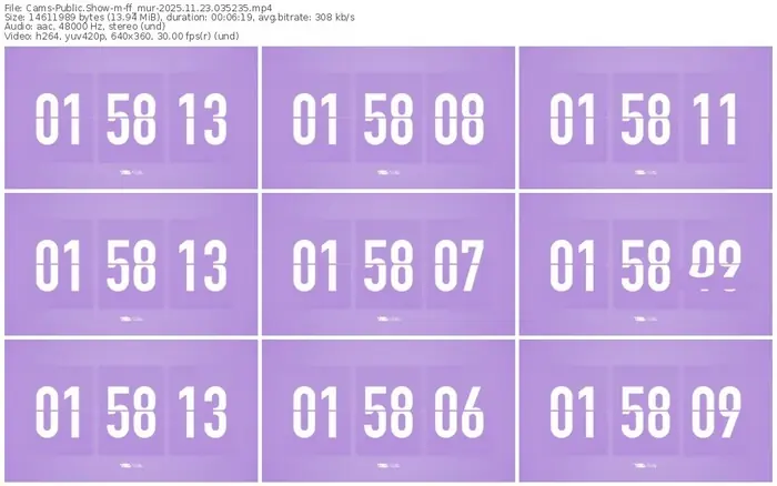 cams-ff_mur-11-23-2025-03-52-35