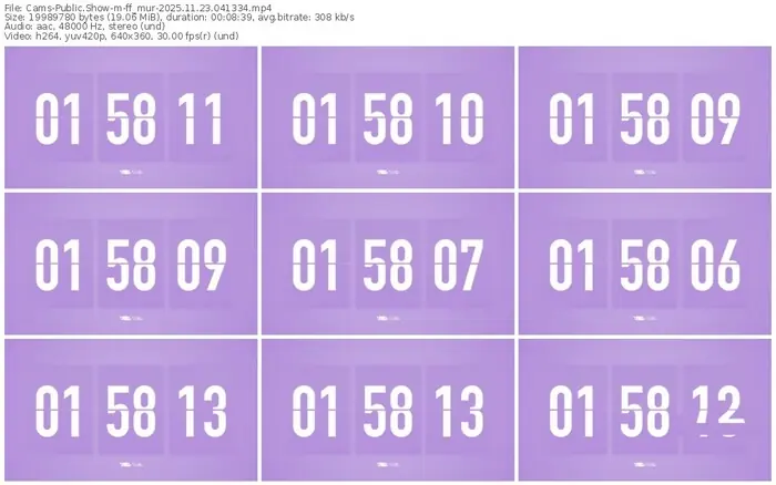 cams-ff_mur-11-23-2025-04-13-34