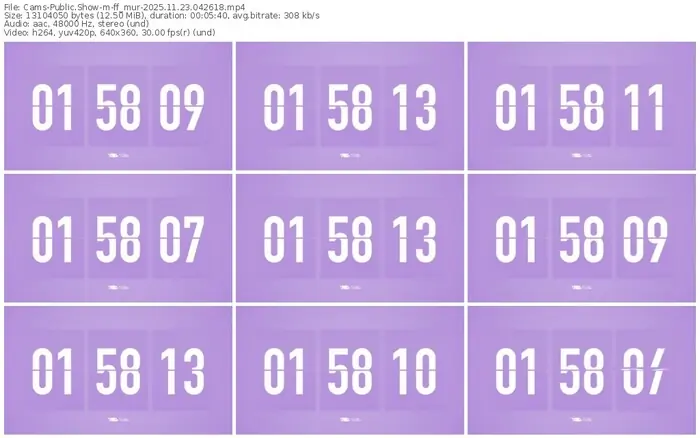 cams-ff_mur-11-23-2025-04-26-18