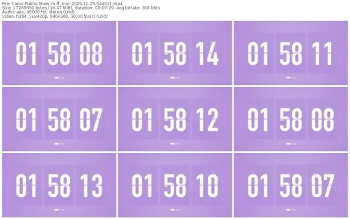 cams-ff_mur-11-23-2025-04-40-11