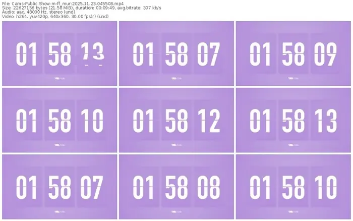 cams-ff_mur-11-23-2025-04-55-08