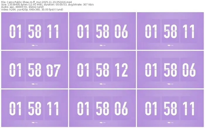 cams-ff_mur-11-23-2025-05-24-16