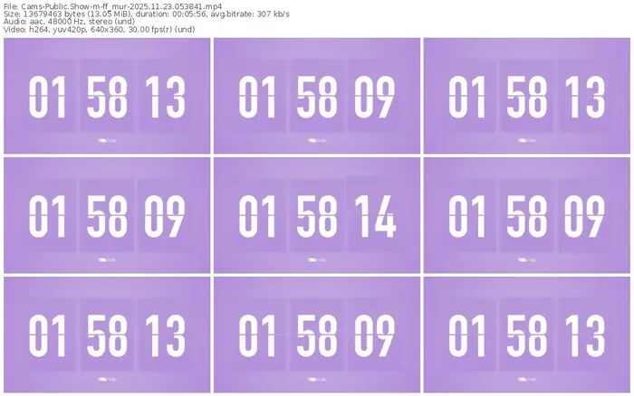 cams-ff_mur-11-23-2025-05-38-41