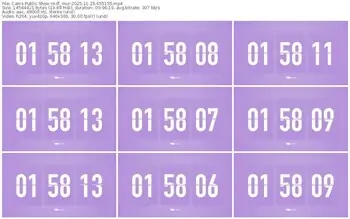 cams-ff_mur-11-23-2025-05-51-55