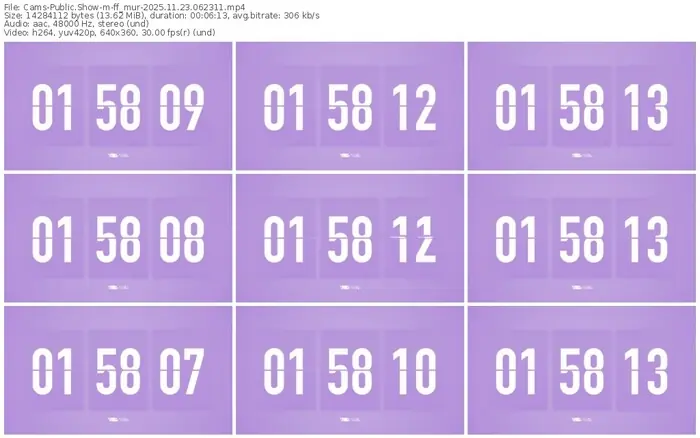 cams-ff_mur-11-23-2025-06-23-11