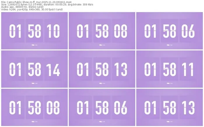 cams-ff_mur-11-23-2025-06-34-11