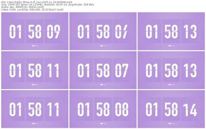 cams-ff_mur-11-23-2025-06-39-49
