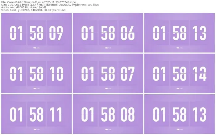 cams-ff_mur-11-23-2025-07-07-45