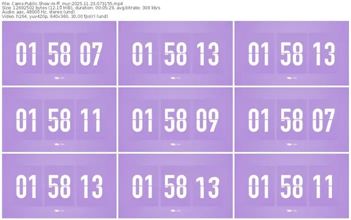 cams-ff_mur-11-23-2025-07-31-55