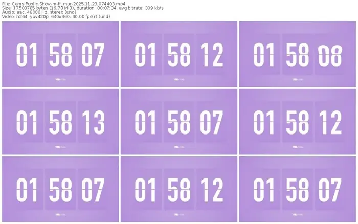 cams-ff_mur-11-23-2025-07-44-03