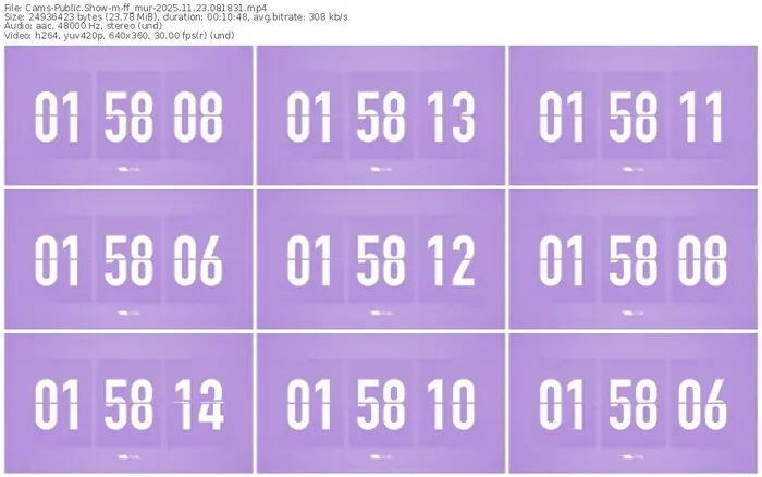 cams-ff_mur-11-23-2025-08-18-31