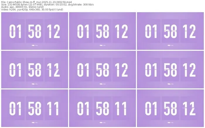 cams-ff_mur-11-23-2025-08-31-59