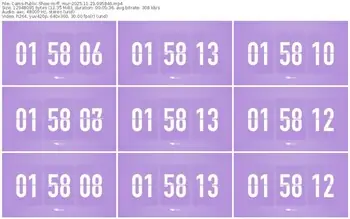 cams-ff_mur-11-23-2025-09-58-46