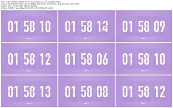 cams-ff_mur-11-23-2025-10-38-47