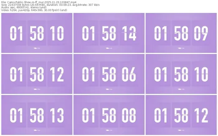 cams-ff_mur-11-23-2025-10-38-47