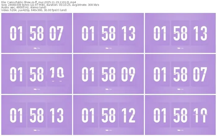 cams-ff_mur-11-23-2025-11-01-21