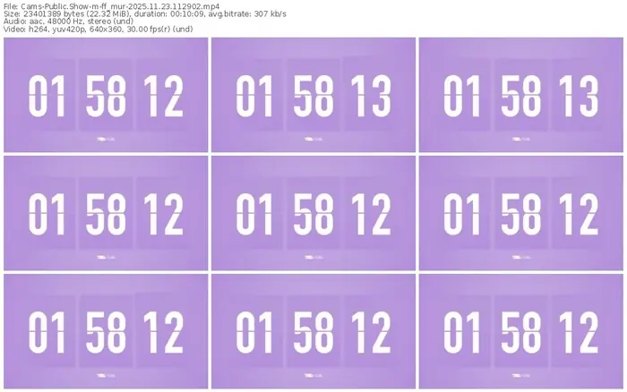 cams-ff_mur-11-23-2025-11-29-02