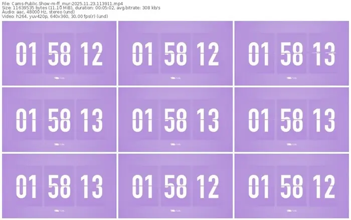 cams-ff_mur-11-23-2025-11-39-11