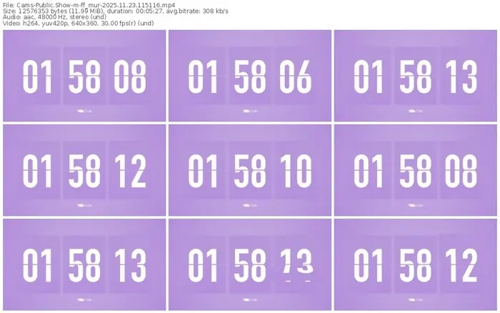 cams-ff_mur-11-23-2025-11-51-16