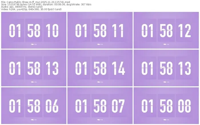 cams-ff_mur-11-23-2025-11-57-41