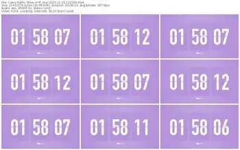 cams-ff_mur-11-23-2025-12-22-09