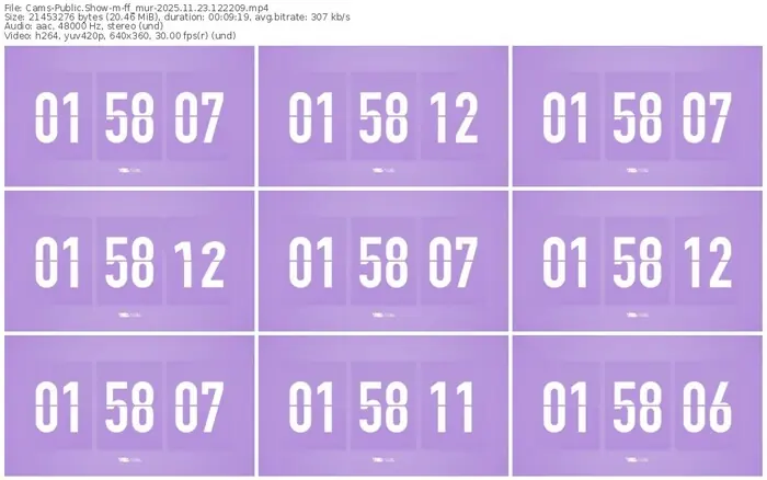 cams-ff_mur-11-23-2025-12-22-09