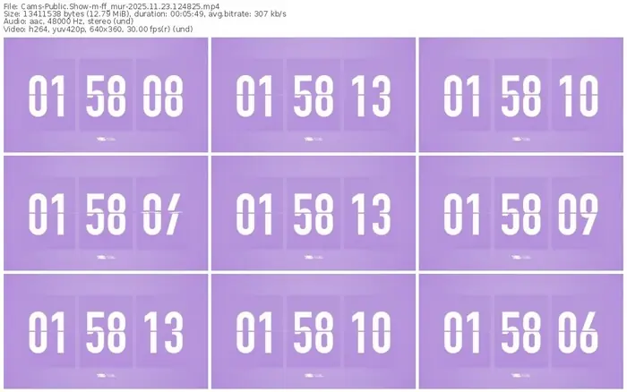 cams-ff_mur-11-23-2025-12-48-25