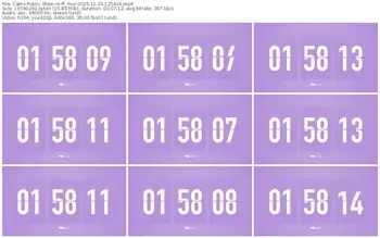 cams-ff_mur-11-23-2025-12-54-16