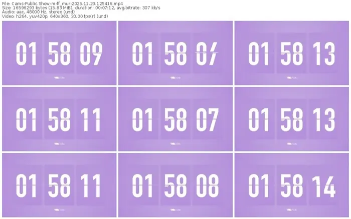 cams-ff_mur-11-23-2025-12-54-16