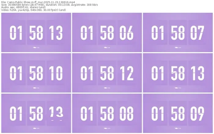 cams-ff_mur-11-23-2025-13-06-16