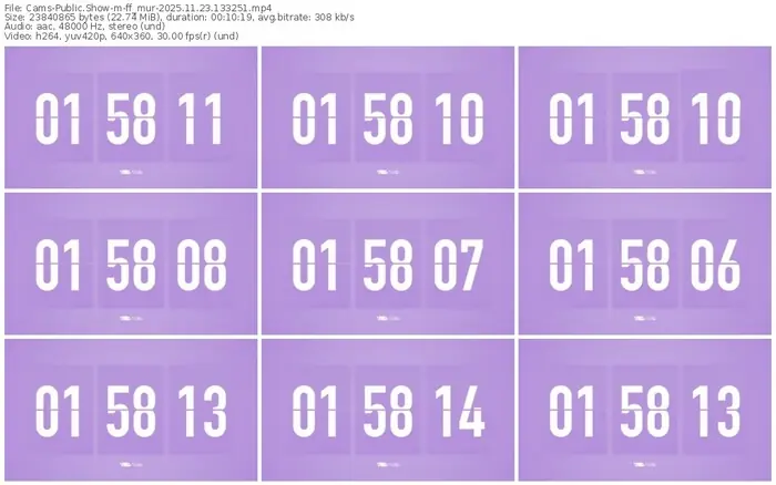 cams-ff_mur-11-23-2025-13-32-51