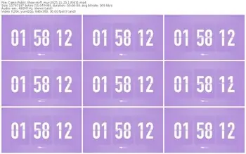 cams-ff_mur-11-23-2025-13-56-31