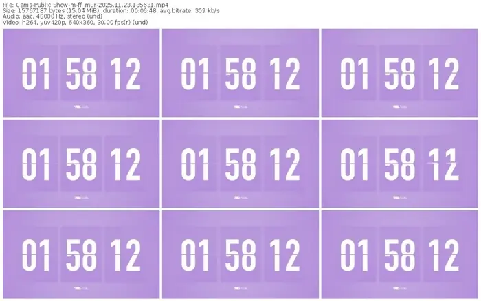 cams-ff_mur-11-23-2025-13-56-31