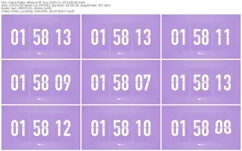 cams-ff_mur-11-23-2025-14-30-36