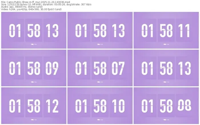 cams-ff_mur-11-23-2025-14-30-36