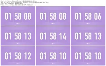 cams-ff_mur-11-23-2025-14-38-49