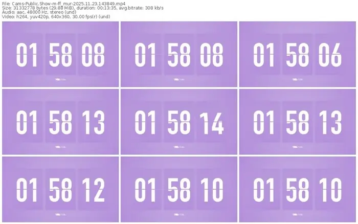 cams-ff_mur-11-23-2025-14-38-49